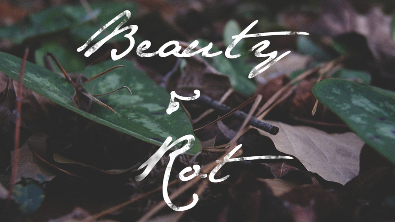 Beauty & Rot: Poetry in Vision